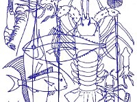 ruello design : R_H_images