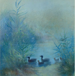 Ducks
